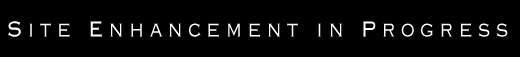 Site Enhancement in Progress